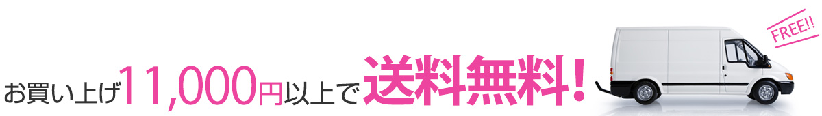 11,000円以上お買い上げで送料無料