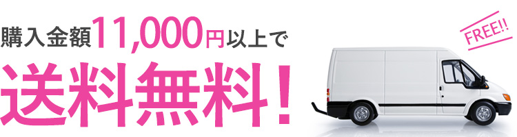 11,000円以上お買い上げで送料無料